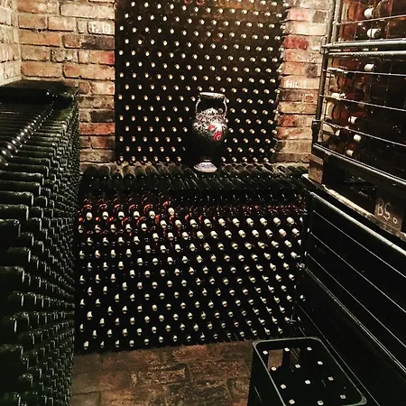 Vinarstvi Skarecky - U Stane Gasthof Vracov